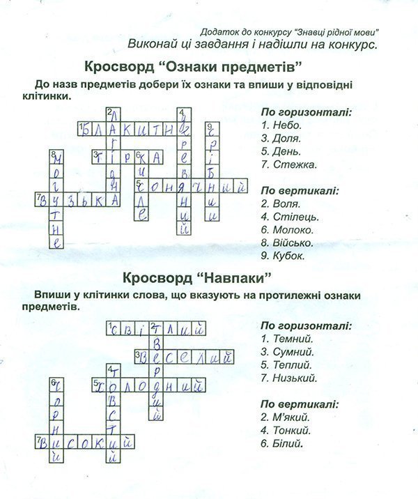Рубець Діана 002.jpg Рубець Діана 002.jpg